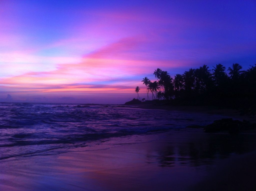 beach Sri Lanka
