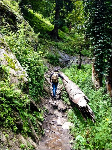 Hike to Hot water spring Kheergnaga, Himachal Pradesh