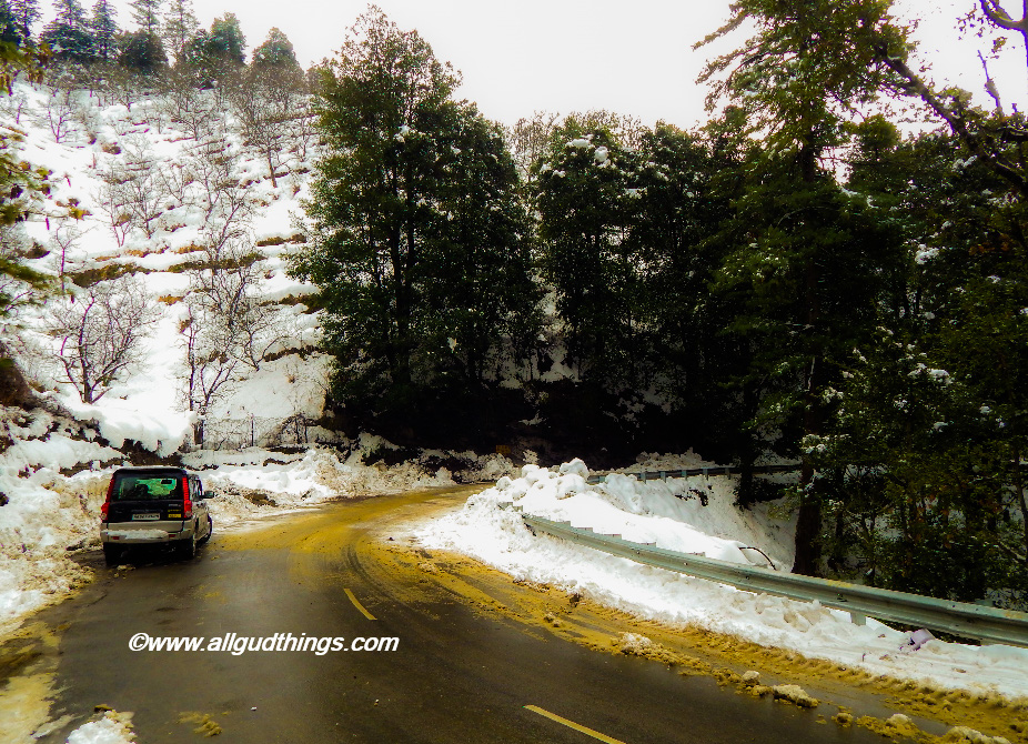 Mashobra near Shimla - Beautiful Shimla after Snowfall