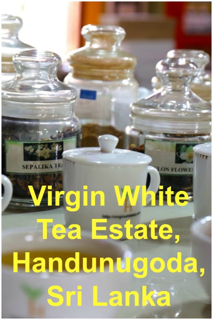 Virgin White Tea Estate, Handunugoda, Sri Lanka
