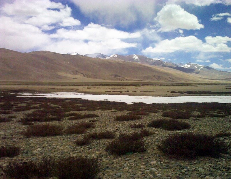 Tsaka La Road: Ladakh, the land of high passes