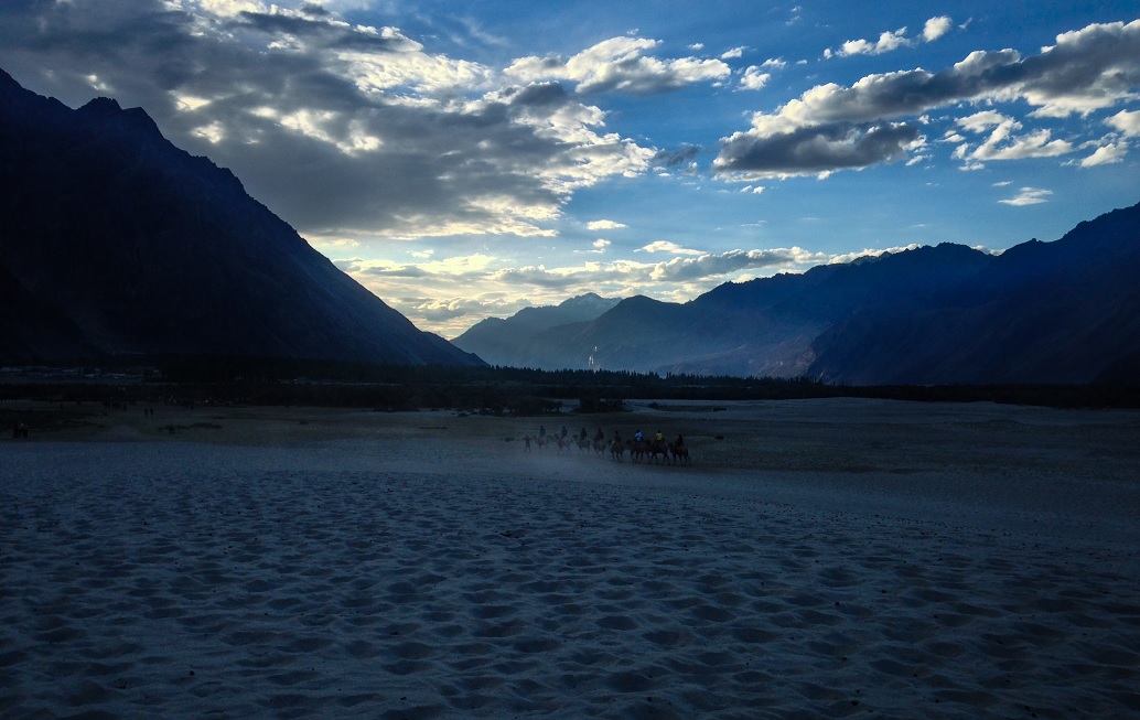 Nubra Valley: The Valley of Flowers in Ladakh