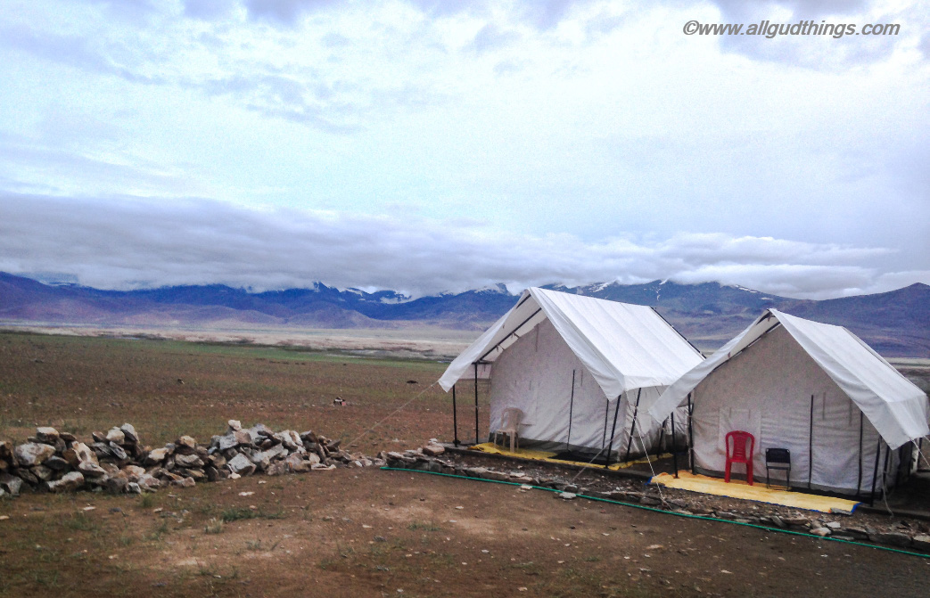Tents at Tso Kar Resort - White Lake Tso Kar