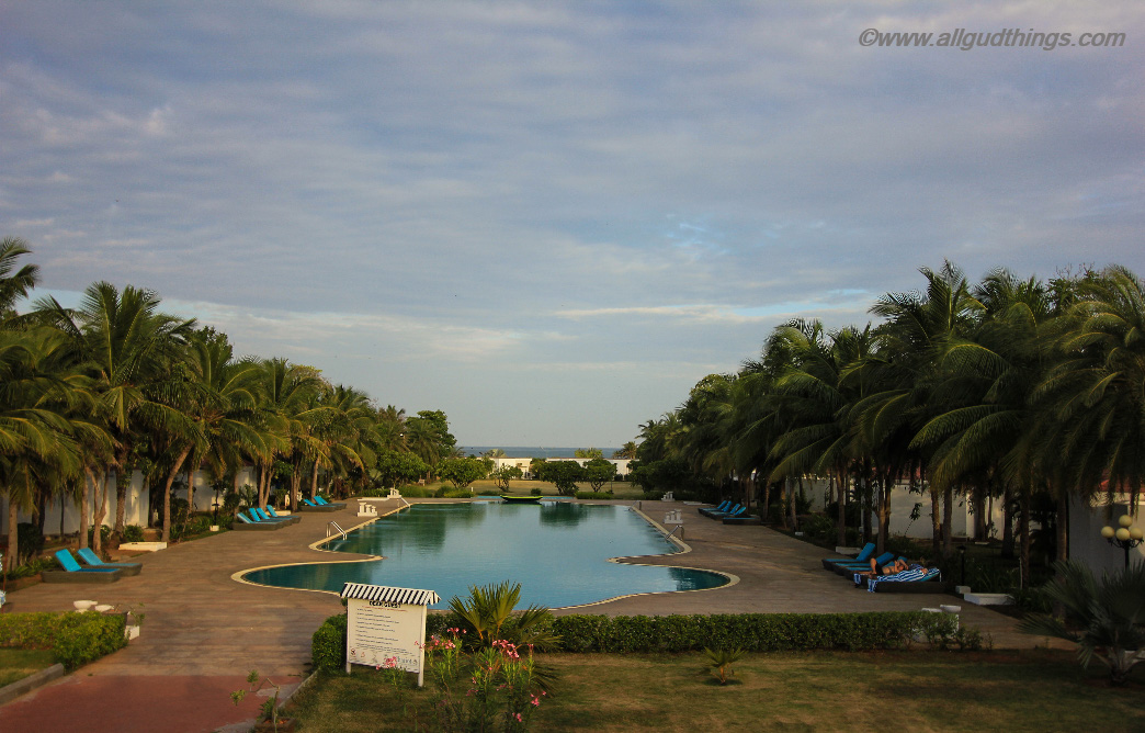 Olympiad Size Swimming Pool at Chariot Beach Resort Mahabalipuram