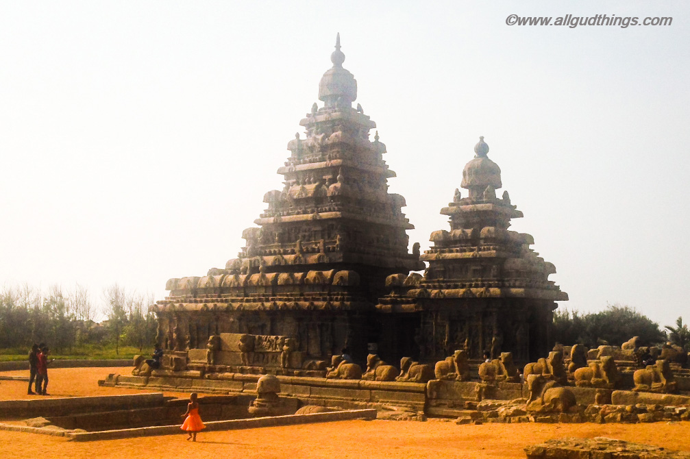 Shiva's Vahan Nandi surrounding Shore temple : Mahabalipuram Travel Guide