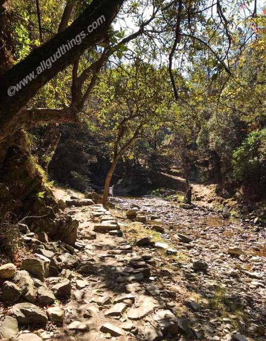Crossing Stream and trails to Bhalu Gaad Waterfall