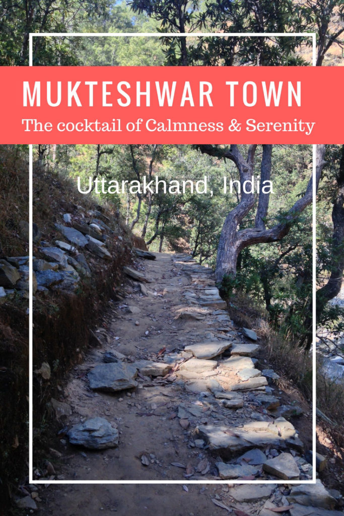 Mukteshwar Town: The cocktail of calmness & Serenity