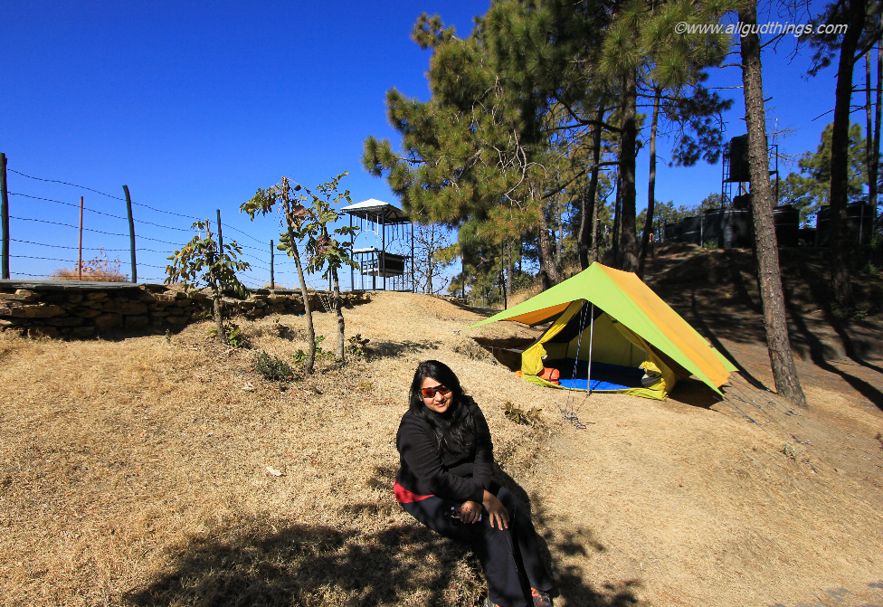 Camping At Aamod Resort Shoghi