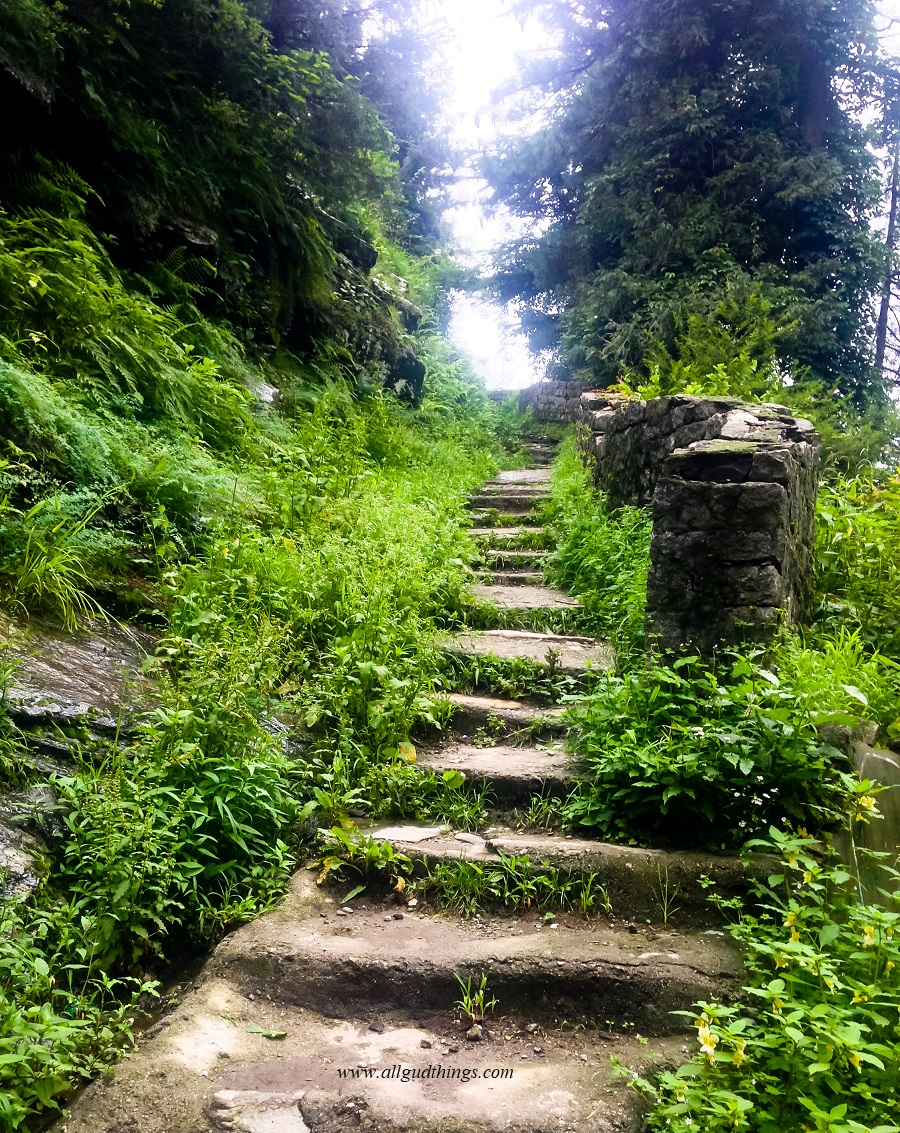 Nature trails in old manali