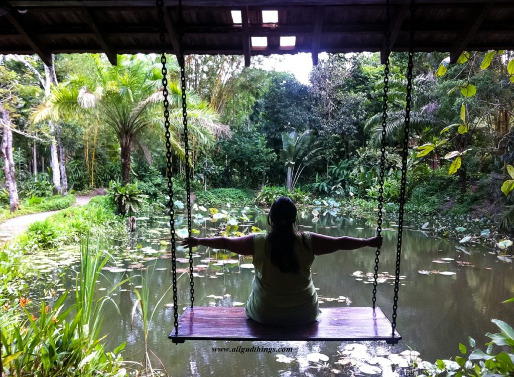 Prviate Lotus Pool at Apa Villa Illuketia - Sri Lanka Travel tips