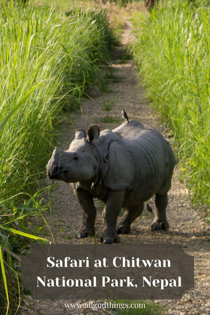 Safari at Chitwan National Park