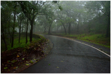 Pachmarhi road during monsoon road trip