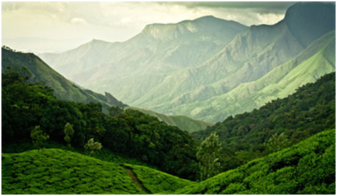 Munnar views during monsoon road trip